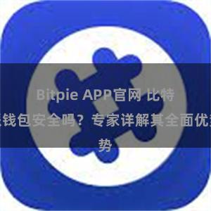 Bitpie APP官网 比特派钱包安全吗？专家详解其全面优势