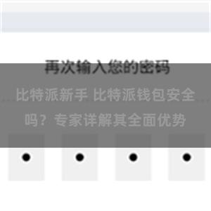 比特派新手 比特派钱包安全吗？专家详解其全面优势