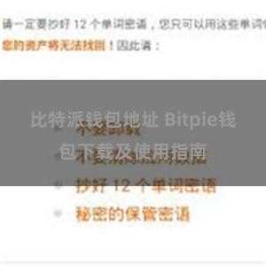 比特派钱包地址 Bitpie钱包下载及使用指南