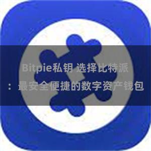 Bitpie私钥 选择比特派：最安全便捷的数字资产钱包