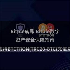 Bitpie转账 Bitpie数字资产安全保障指南