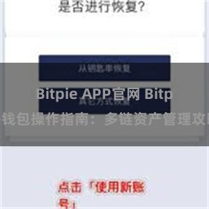 Bitpie APP官网 Bitpie钱包操作指南：多链资产管理攻略