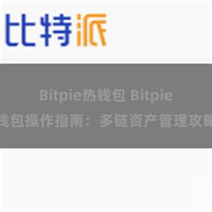 Bitpie热钱包 Bitpie钱包操作指南：多链资产管理攻略