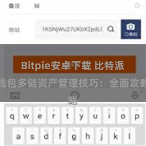 Bitpie安卓下载 比特派钱包多链资产管理技巧：全面攻略