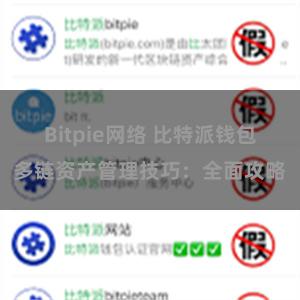 Bitpie网络 比特派钱包多链资产管理技巧：全面攻略