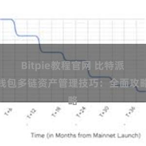 Bitpie教程官网 比特派钱包多链资产管理技巧：全面攻略