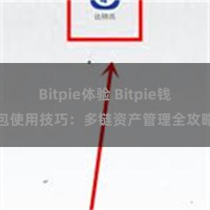 Bitpie体验 Bitpie钱包使用技巧：多链资产管理全攻略