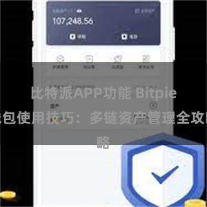 比特派APP功能 Bitpie钱包使用技巧：多链资产管理全攻略