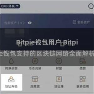 Bitpie钱包用户 Bitpie钱包支持的区块链网络全面解析