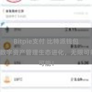 Bitpie支付 比特派钱包：数字资产管理生态进化，无限可能！