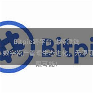 Bitpie跨平台 比特派钱包：数字资产管理生态进化，无限可能！