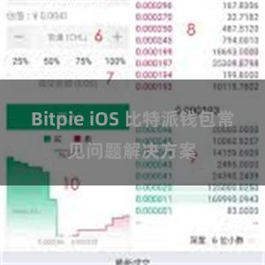 Bitpie iOS 比特派钱包常见问题解决方案