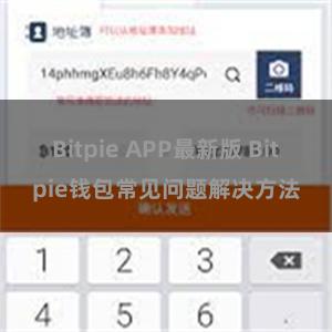 Bitpie APP最新版 Bitpie钱包常见问题解决方法