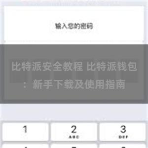 比特派安全教程 比特派钱包：新手下载及使用指南