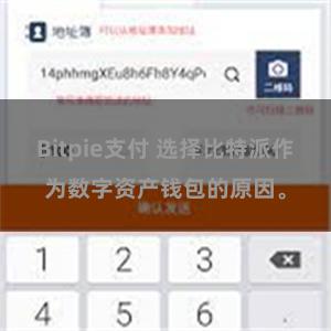 Bitpie支付 选择比特派作为数字资产钱包的原因。