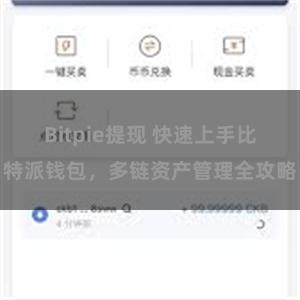 Bitpie提现 快速上手比特派钱包，多链资产管理全攻略