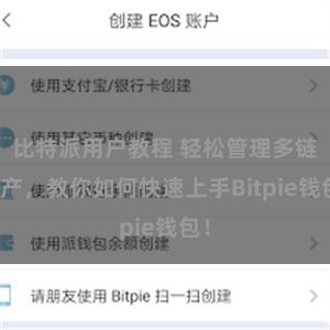 比特派用户教程 轻松管理多链资产，教你如何快速上手Bitpie钱包！