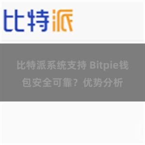 比特派系统支持 Bitpie钱包安全可靠？优势分析