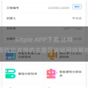 Bitpie APP下载 比特派钱包支持的主要区块链网络解析