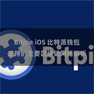 Bitpie iOS 比特派钱包支持的主要区块链网络解析