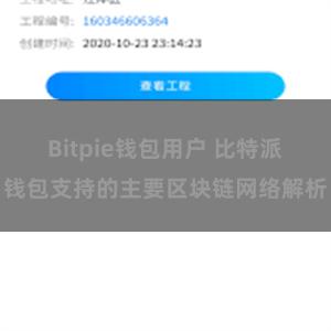 Bitpie钱包用户 比特派钱包支持的主要区块链网络解析