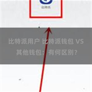 比特派用户 比特派钱包 VS 其他钱包：有何区别？