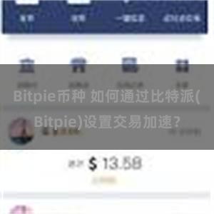 Bitpie币种 如何通过比特派(Bitpie)设置交易加速？