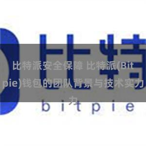 比特派安全保障 比特派(Bitpie)钱包的团队背景与技术实力