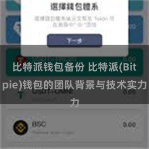 比特派钱包备份 比特派(Bitpie)钱包的团队背景与技术实力