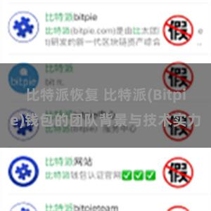 比特派恢复 比特派(Bitpie)钱包的团队背景与技术实力