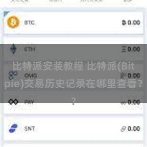 比特派安装教程 比特派(Bitpie)交易历史记录在哪里查看？