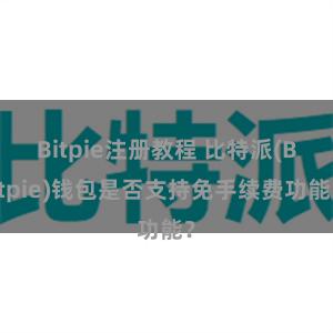 Bitpie注册教程 比特派(Bitpie)钱包是否支持免手续费功能？