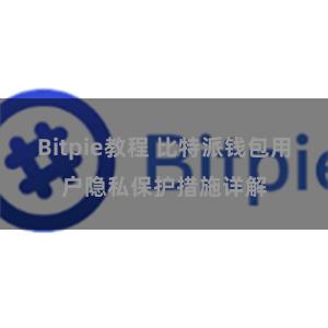 Bitpie教程 比特派钱包用户隐私保护措施详解