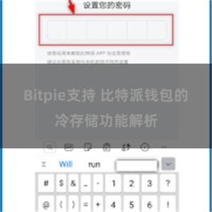 Bitpie支持 比特派钱包的冷存储功能解析