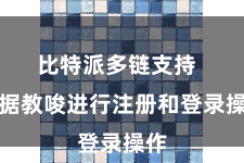 比特派多链支持  证据教唆进行注册和登录操作