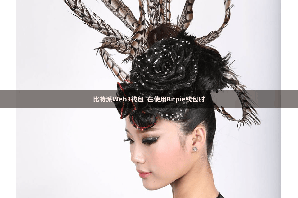 比特派Web3钱包  在使用Bitpie钱包时